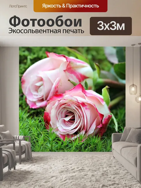 Фотообои Розы