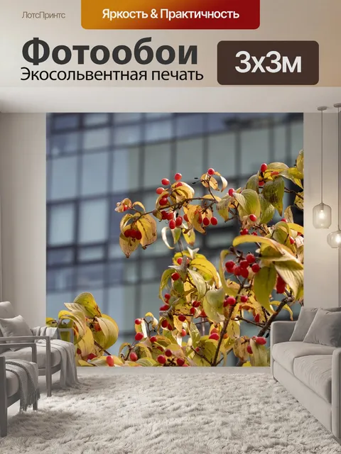 Фотообои Осень