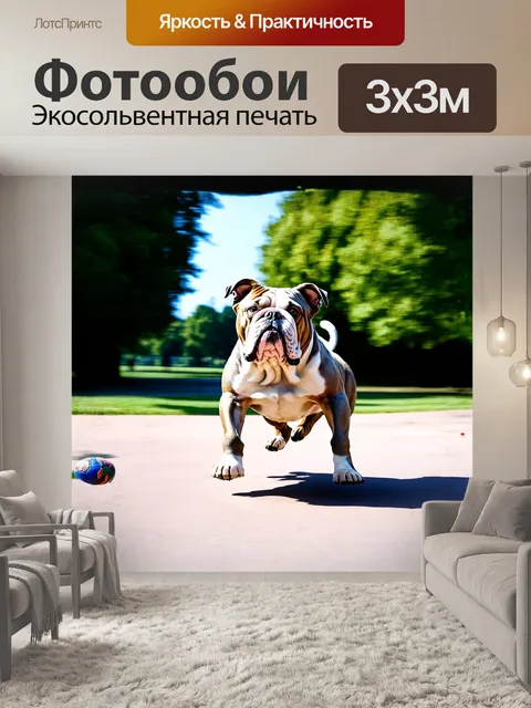 Фотообои бульдог, играющий в парке с мячом, его шерсть переливается на солнце, отражая различные оттенки серого и…