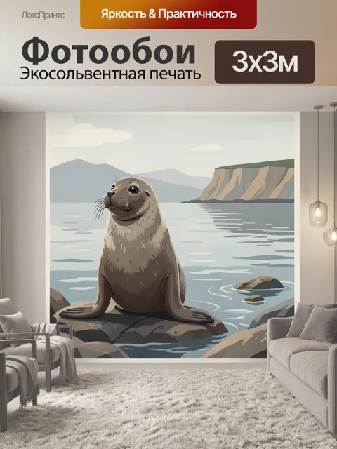 Фотообои Тюлень на прибрежных камнях