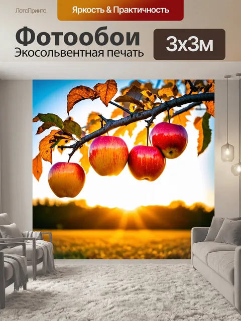 Фотообои осень закаты, свисающие плоды яблонь, золотые и красные, создают контраст с ярким небом