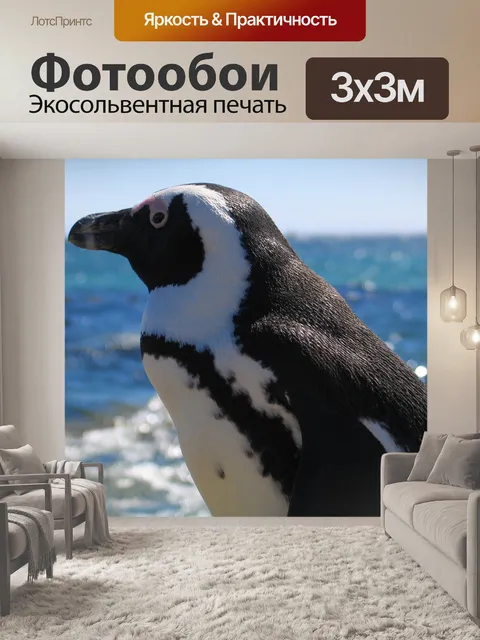 Фотообои Птица