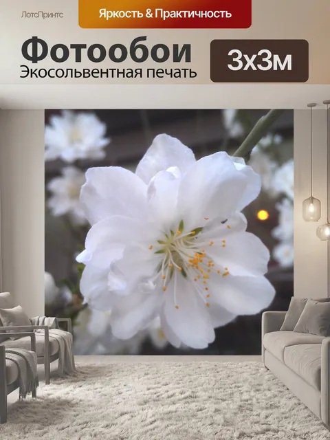 Фотообои Белая сакура