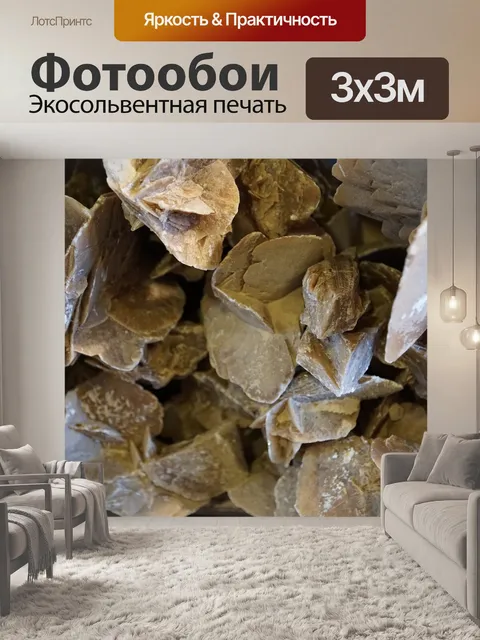 Фотообои Песочные розы
