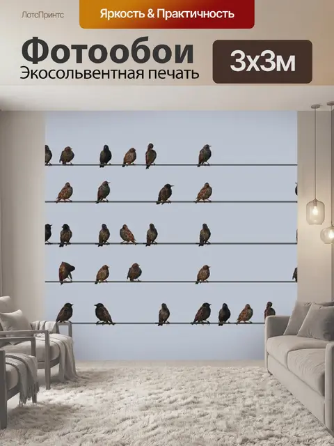 Фотообои Посмотрите внимательно