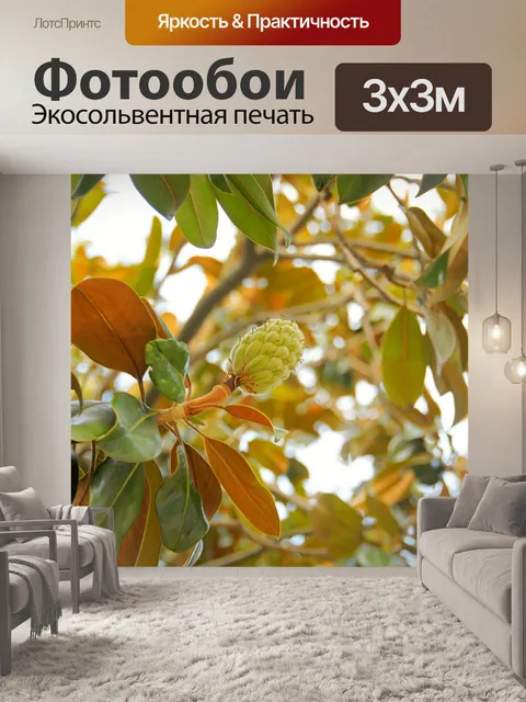 Фотообои Листья