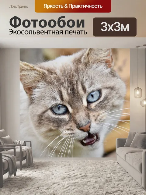 Фотообои Кошка