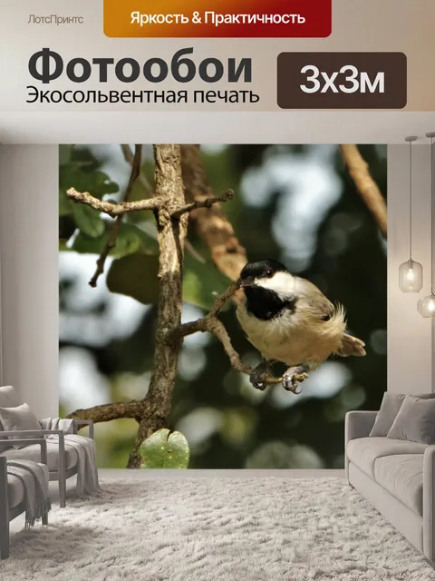 Фотообои Каролина Чикади на ветке дерева