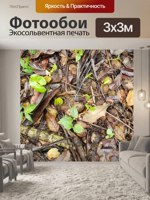 Фотообои Листья