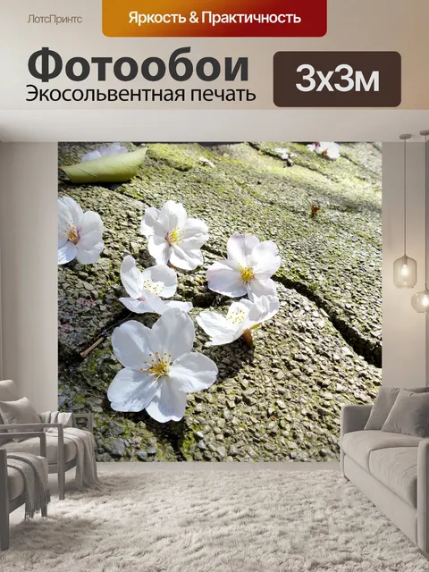 Фотообои Сакура