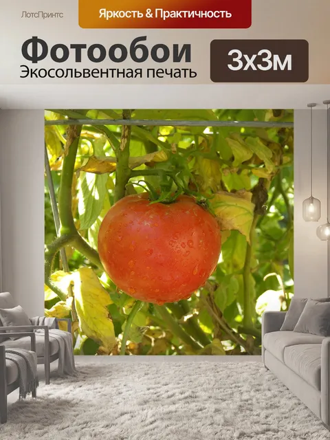 Фотообои Помидор