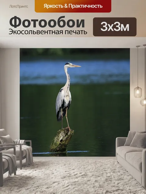 Фотообои Цапля