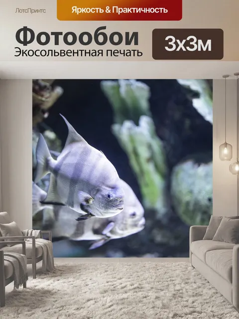 Фотообои Рыба
