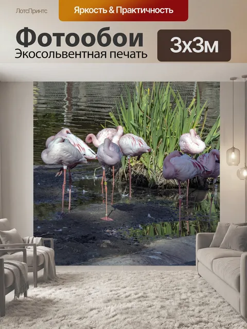 Фотообои фламинго птицы