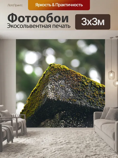 Фотообои Мох