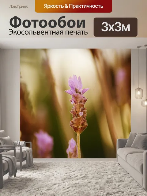 Фотообои Лаванда