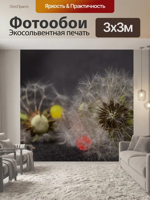 Фотообои Одуванчики