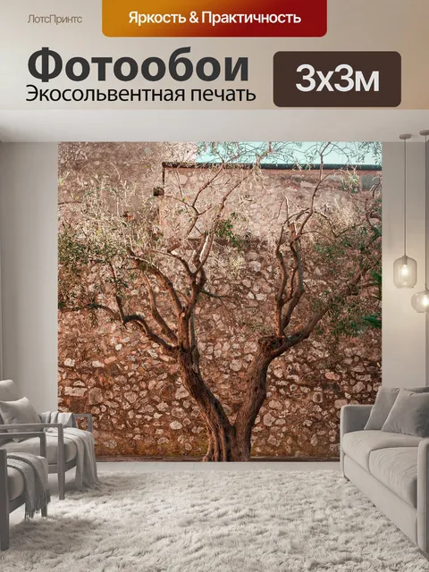 Фотообои Оливковый
