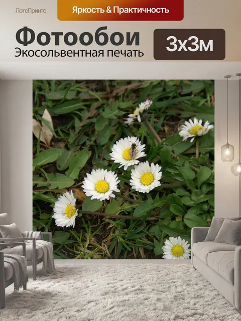 Фотообои Весна