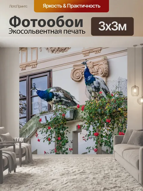 Фотообои Павлин