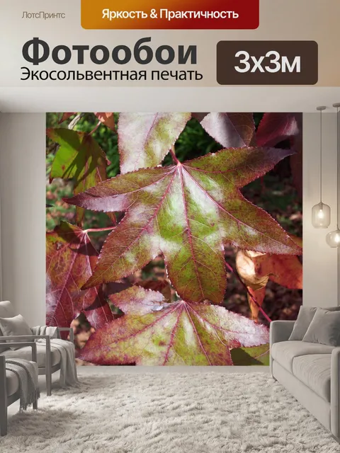 Фотообои Листья меняют на осень