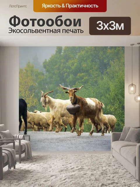 Фотообои Животные