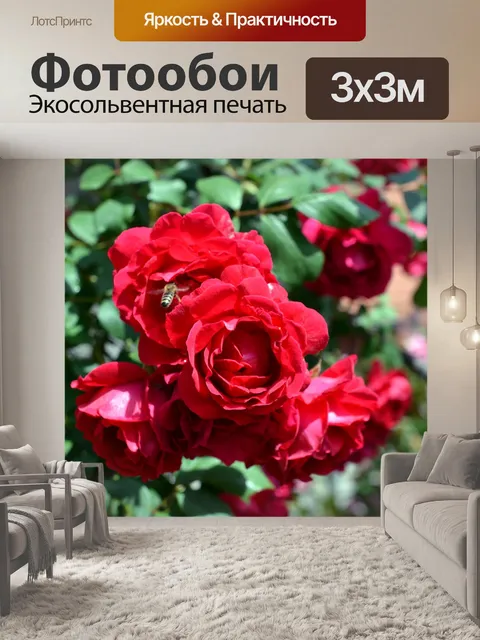 Фотообои Розы