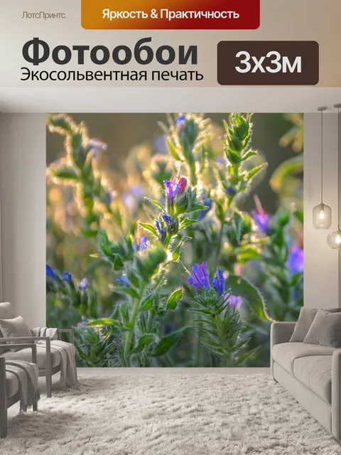 Фотообои Цветы