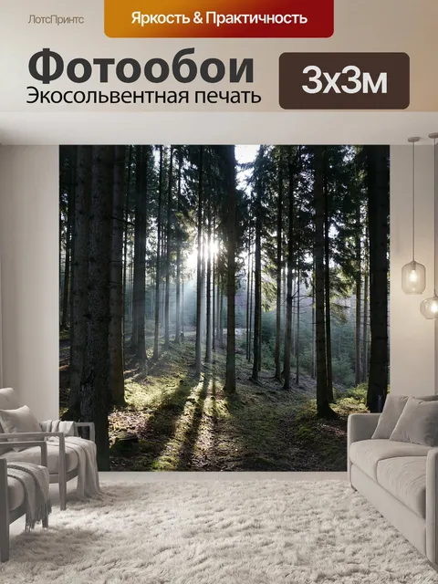 Фотообои Лес