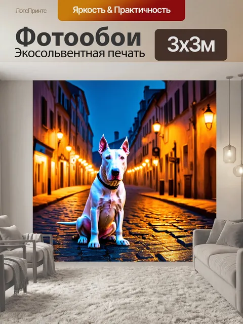 Фотообои сцена с белым бультерьером
