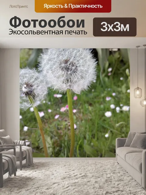 Фотообои Одуванчик