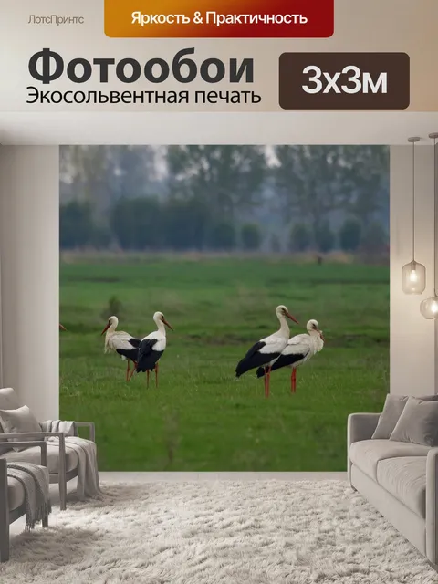 Фотообои Аист