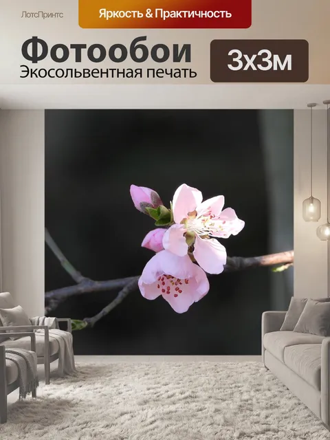 Фотообои Цветок