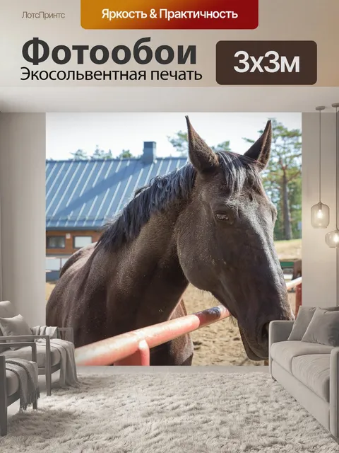 Фотообои Лошадь