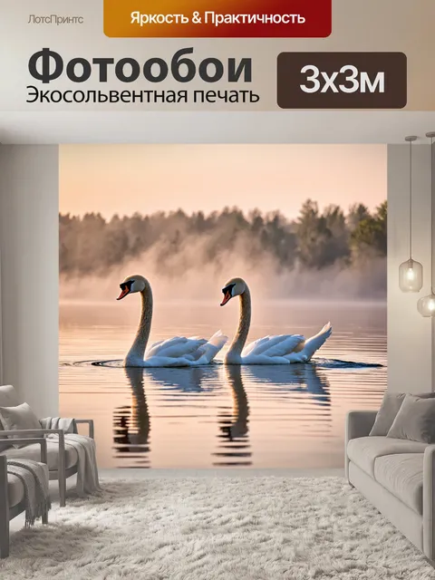 Фотообои животные в стиле романтизм, пара лебедей, плавающих по утреннему озеру, окруженные туманом