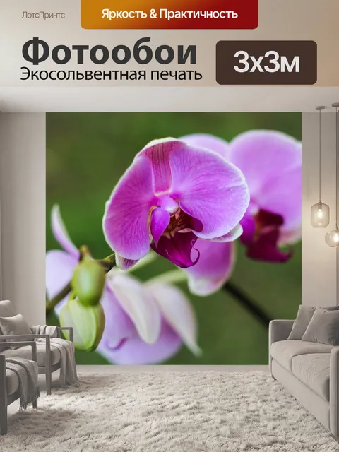 Фотообои Цветы