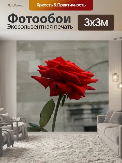 Фотообои Могила