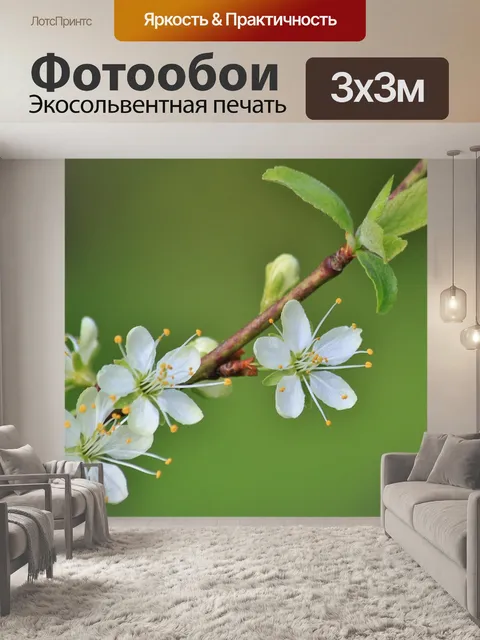 Фотообои Цветущая ветка