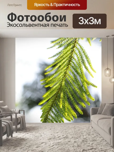 Фотообои Дерево сосны