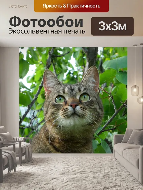 Фотообои Кошка
