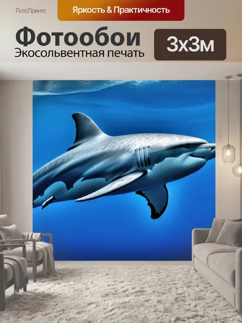 Фотообои с дельфином