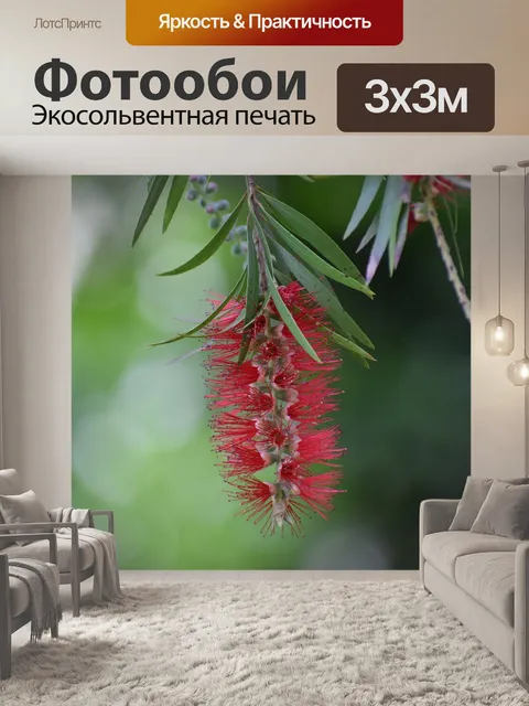 Фотообои Цветок