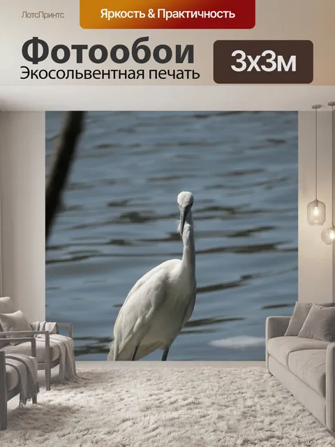 Фотообои Птицы