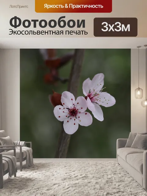 Фотообои Цветы