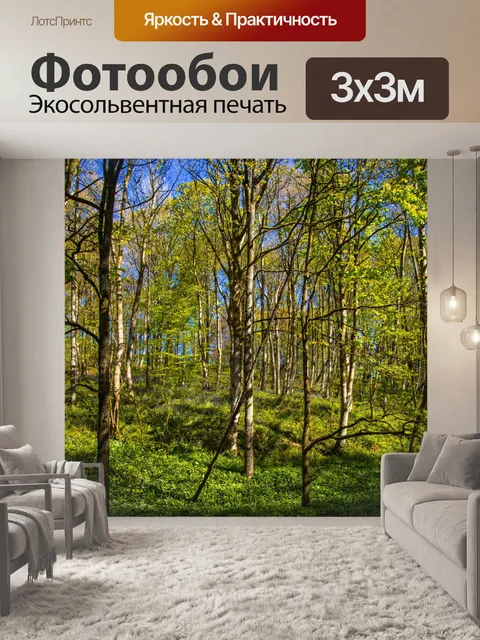Фотообои Лес в Скиптоне