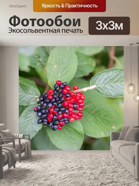 Фотообои Ягоды