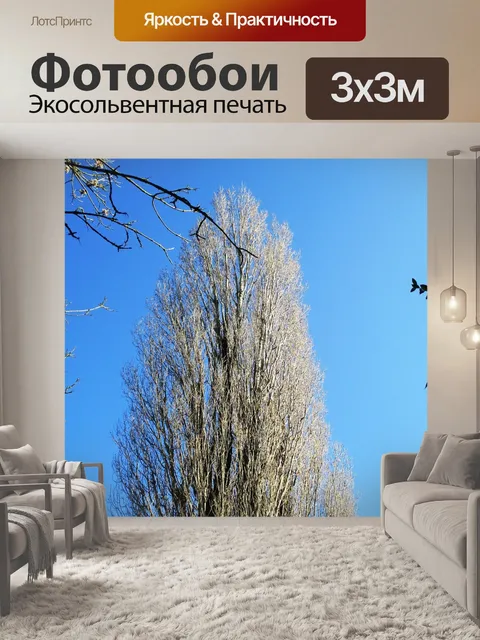 Фотообои Дерево