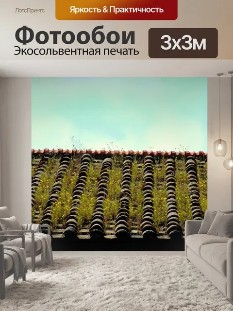 Фотообои Крыша