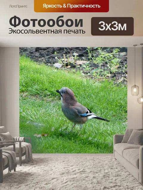 Фотообои Птица