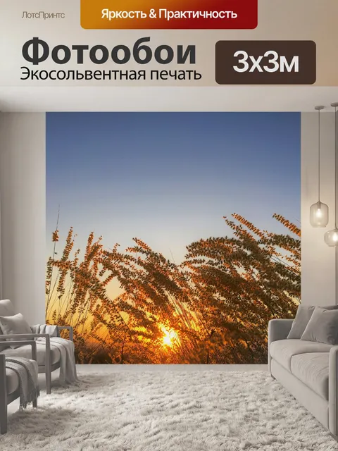 Фотообои Заход солнца